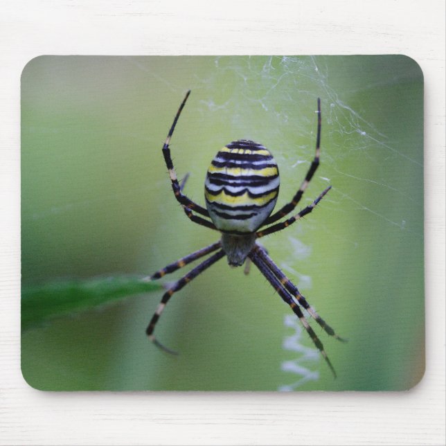 Argiope bruennichi mouse pad (Front)