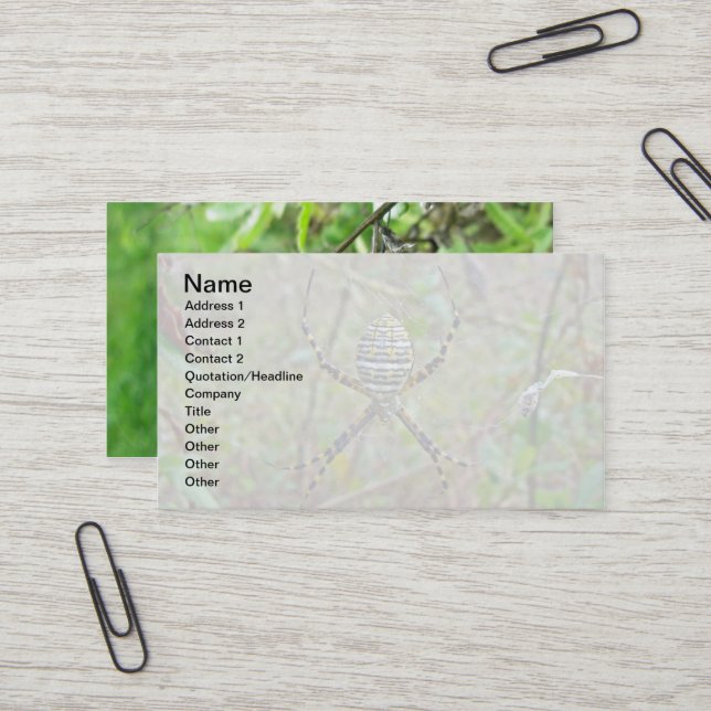 Argiope Orb Weaver Spiders Business Card (Front/Back In Situ)