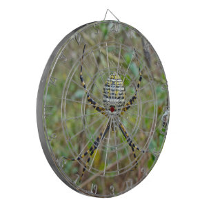 Argiope trifasciata Orb Weaver Spider Dartboard