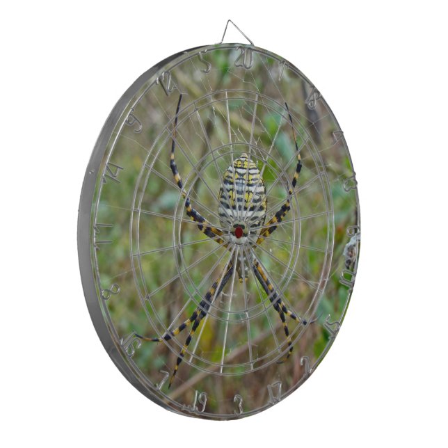 Argiope trifasciata Orb Weaver Spider Dartboard (Front Left)