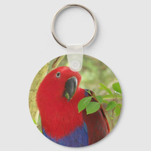 Aria Grand Eclectus Parrot Keychain