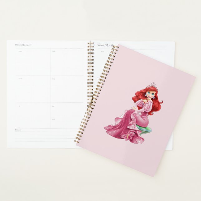 Ariel Planner (Display)