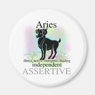Aries About You Magnet