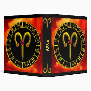 ARIES BINDER