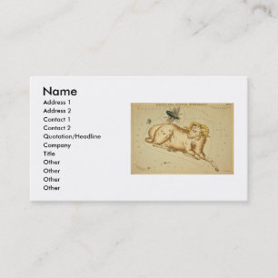 Aries Business Card