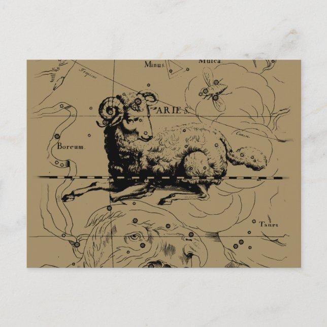 Aries Constellation Map Hevelius 1690 Postcard (Front)