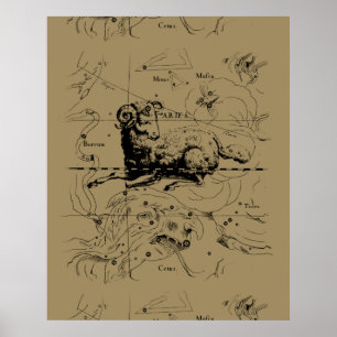 Aries Constellation Map Hevelius circa 1690 Poster