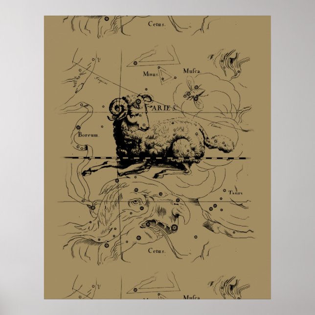 Aries Constellation Map Hevelius circa 1690 Poster (Front)