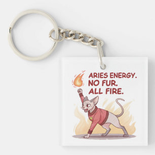 Aries Energy Sphynx Cat No Fur All Fire Art Keychain