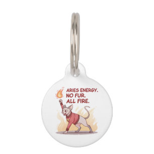 Aries Energy Sphynx Cat No Fur All Fire Art Pet Tag