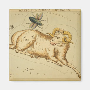 Aries Magnet