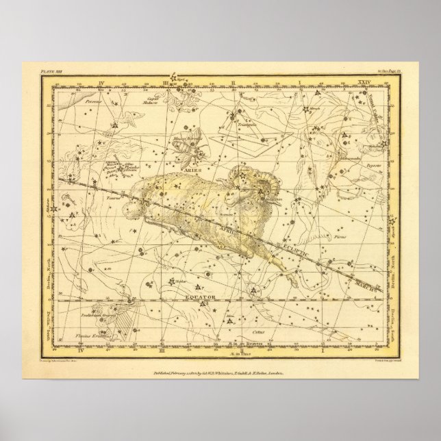 Aries, Musca Borealis Poster (Front)