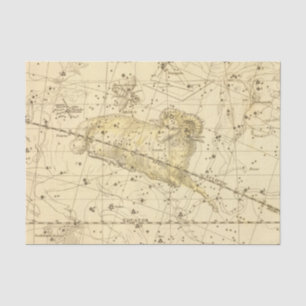Aries, Musca Borealis Tissue Paper