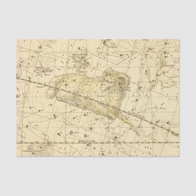 Aries, Musca Borealis Tissue Paper (Front)