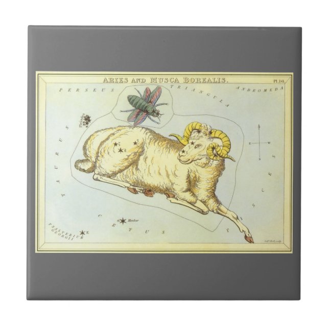 Aries Ram, Vintage Constellation, Urania's Mirror Tile (Front)