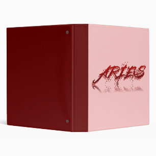 Aries Reflection Binder