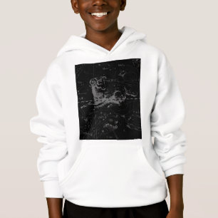 Aries Sign Constellation Hevelius circa 1690