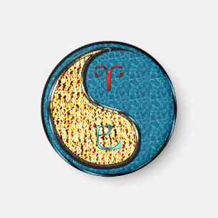 Aries & Water Snake  Magnet