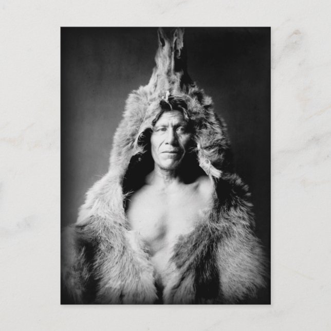 Arikara Indian, Bear's Belly, wearing bearskin Postcard (Front)