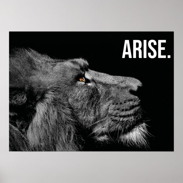 Arise - Lion - Hustle, Gym, Success Motivational Poster (Front)