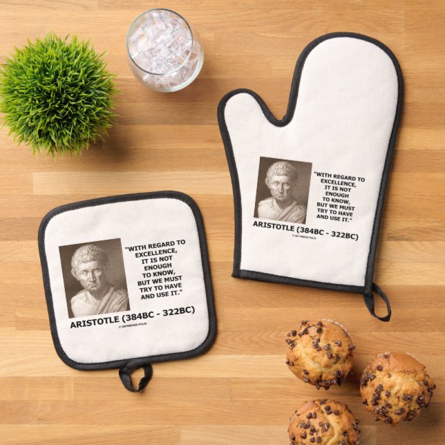 Aristotle Excellence Not Enough To Know Must Try Oven Mitt & Pot Holder Set (Top Down)