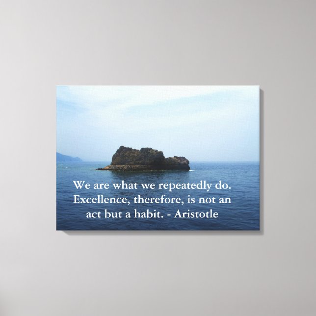 Aristotle Excellence Quotation Canvas Print (Front)