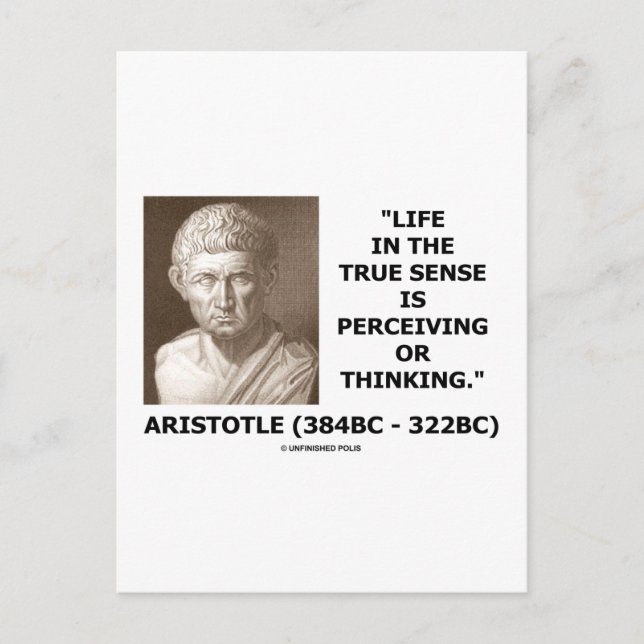 Aristotle Life True Sense Perceiving Or Thinking Postcard (Front)