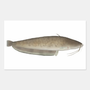 Aristotle's Catfish Sticker