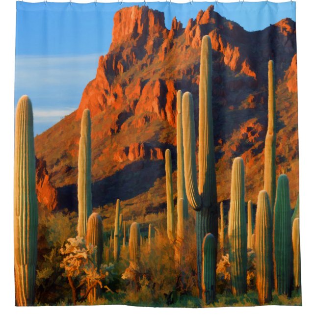 Arizon Desert Saguaro Cactus and Mountains (Front)