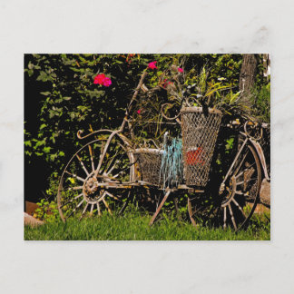 Arizona Antique Postcard