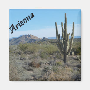 Arizona Apache Trail Cactus Photo Magnet