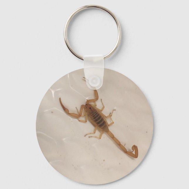 Arizona Bark Scorpion Keychain (Front)