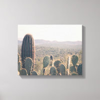 Arizona Cacti  | Canvas Art