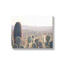 Arizona Cacti  | Canvas Art