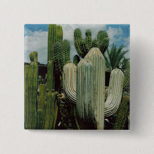 Arizona Cactus 2 Inch Square Button