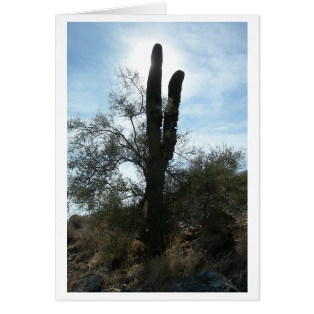 Arizona Cactus (Blank) (Front)