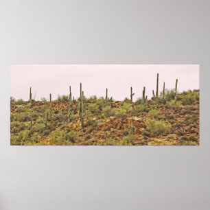 Arizona cactus  landscape poster