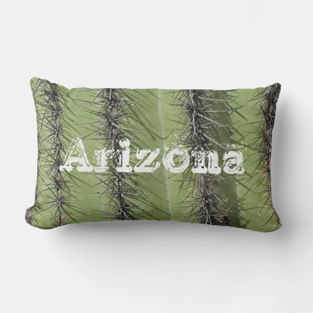 Arizona Cactus Needle Photo Desert Plant Saguaro Lumbar Pillow (Front)
