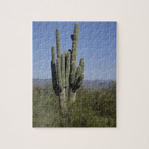 Arizona Cactus Puzzle