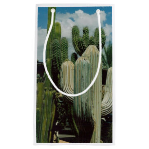 Arizona Cactus Small Gift Bag