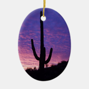 Arizona Christmas Ceramic Ornament