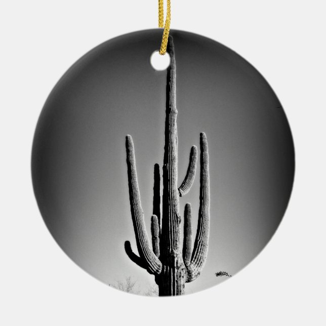 Arizona Christmas Ceramic Ornament (Front)