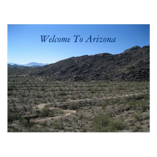 Arizona Desert Beauty Postcard