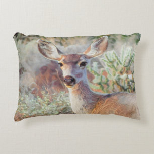Arizona Desert Deer Accent Pillow