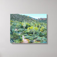 Arizona Desert Hiking Saguaro Cactus Forest 20x16