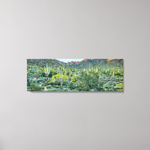 Arizona Desert Hiking Saguaro Cactus Forest 36x12 Canvas Print