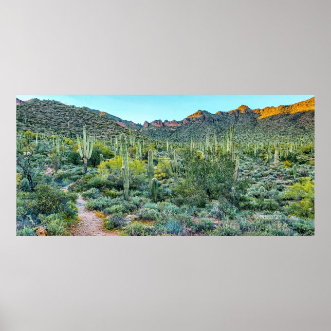 Arizona Desert Hiking Trail Saguaro Cactus Forest Poster (Front)