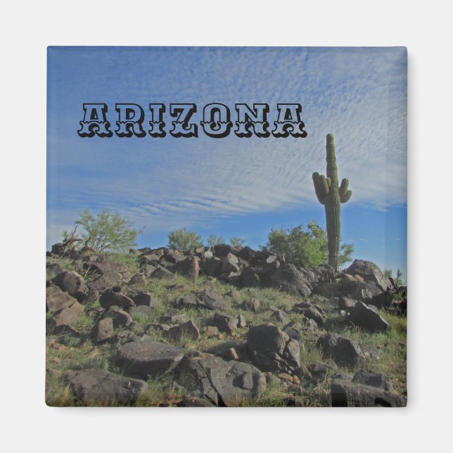 Arizona Desert Landscape Photo Saguaro Cactus Magnet (Front)