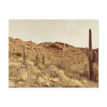 Arizona Desert Postcard