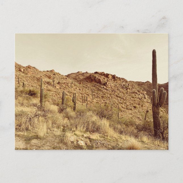 Arizona Desert Postcard (Front)